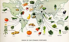 our vegetables origin